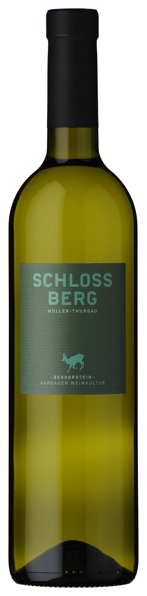 Schlossberg Assemblage
